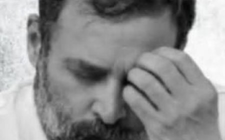 प्रधानमंत्री  नरेंद्र मोदी के खिलाफ अभद्र भाषा का प्रयोग निंदनीय