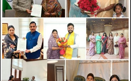 शांत , गंभीर , सशक्त  और सतत्  सक्रिय सांसद हैं हिमाद्री सिंह
