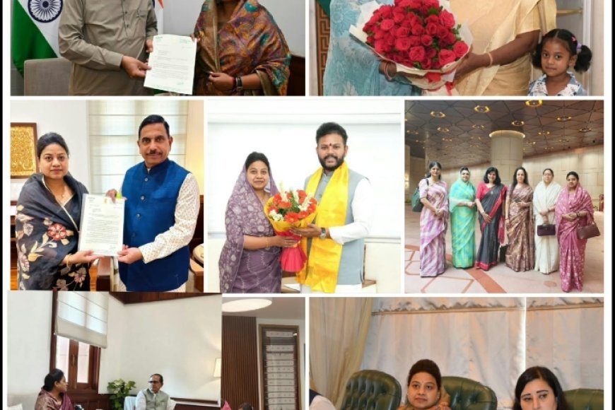 शांत , गंभीर , सशक्त  और सतत्  सक्रिय सांसद हैं हिमाद्री सिंह
