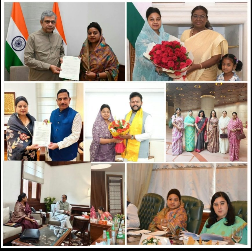 शांत , गंभीर , सशक्त  और सतत्  सक्रिय सांसद हैं हिमाद्री सिंह